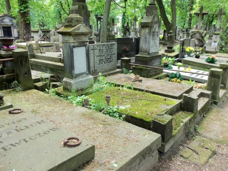 Zdjęcie grobu Konstanty Babich (1)