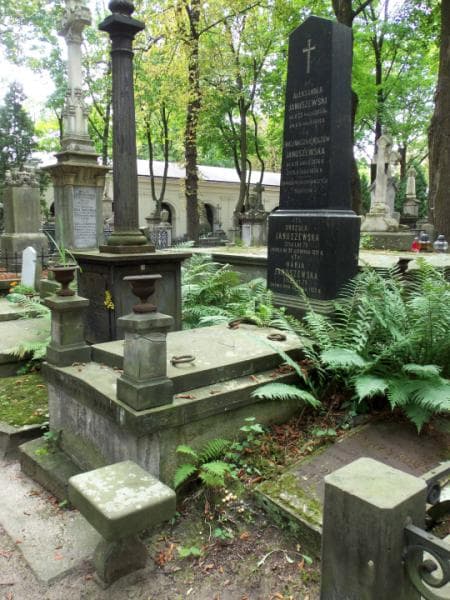 Zdjęcie grobu Marja Januszewska (1)