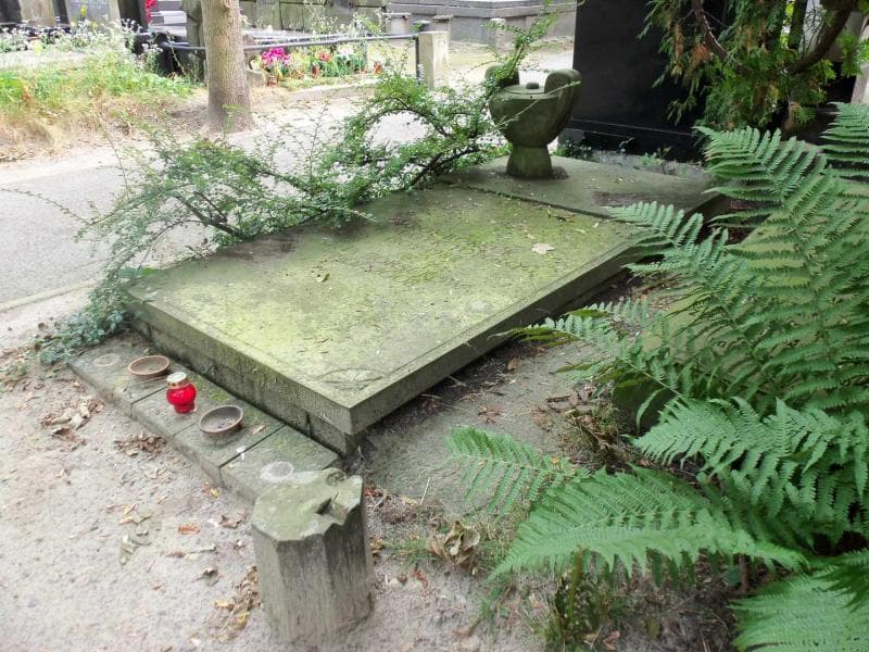 Zdjęcie grobu Zofia Borsukowa (1)