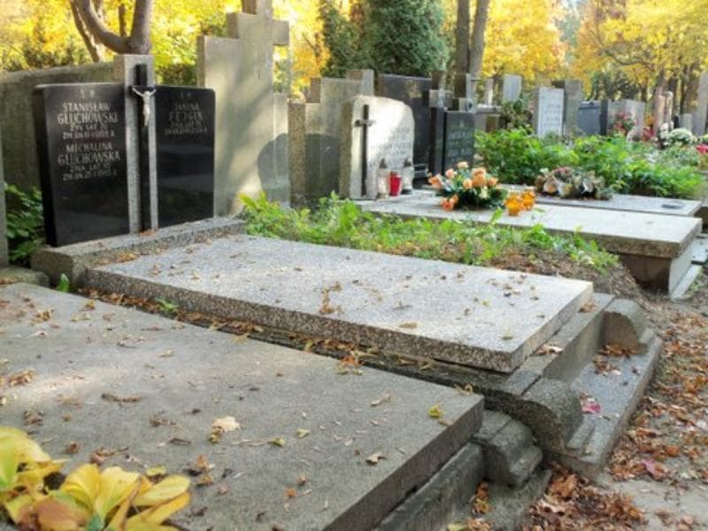 Zdjęcie grobu Michalina Głuchowska (1)
