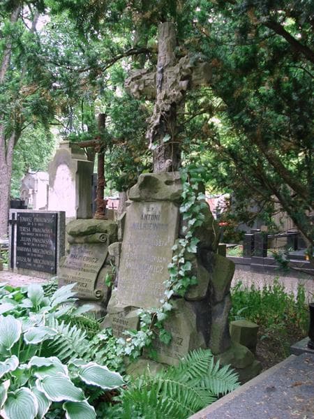 Zdjęcie grobu Eleonora Walkiewicz (2)