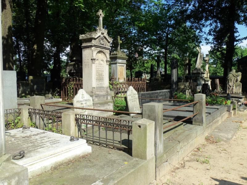 Zdjęcie grobu Zygmunt Liżewski (1)