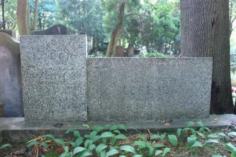 Zdjęcie grobu Lucjan Lober (2)