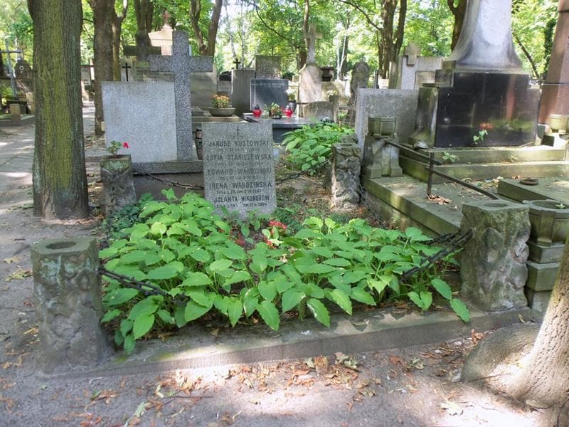 Zdjęcie grobu Irena Wardzińska (1)