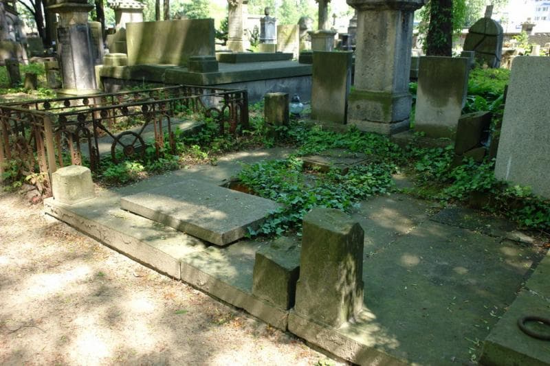 Zdjęcie grobu Stefcia Troszyńska (1)