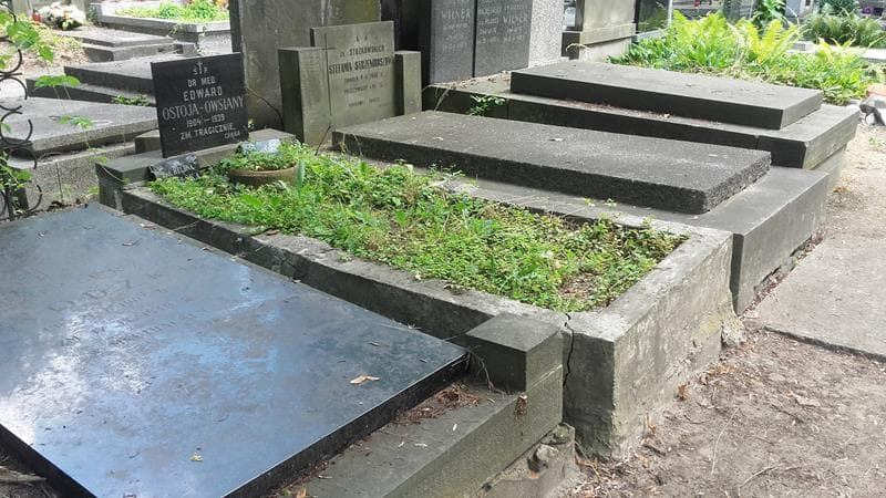 Zdjęcie grobu: Edward Ostoja-Owsiany
