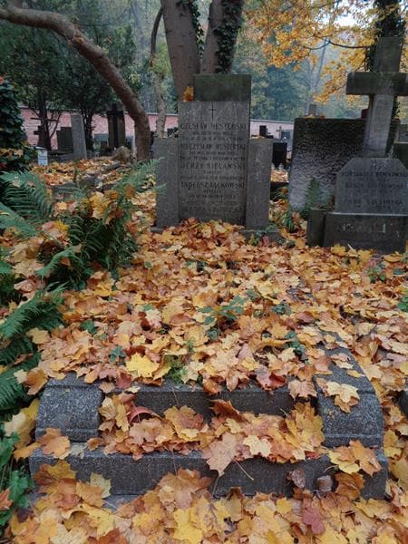 Zdjęcie grobu Tadeusz Jackowski (1)