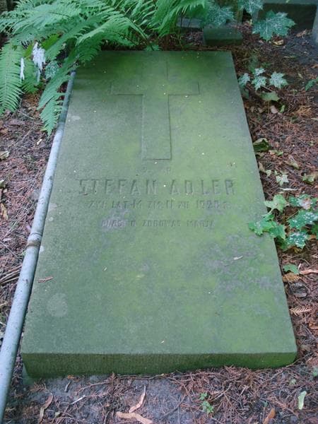 Zdjęcie grobu Stefan Adler (2)
