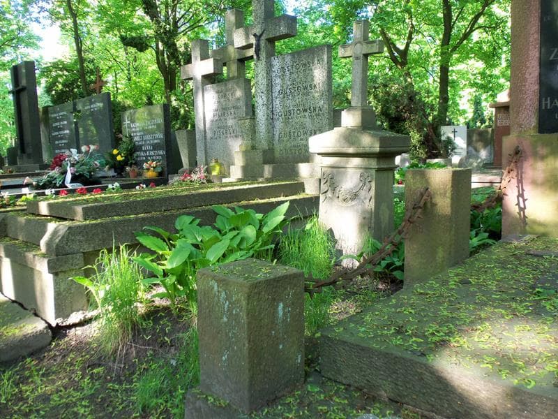 Zdjęcie grobu Feliks Domaszowski (1)