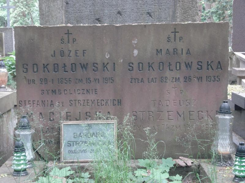 Zdjęcie grobu Stefania Maciejska (1)