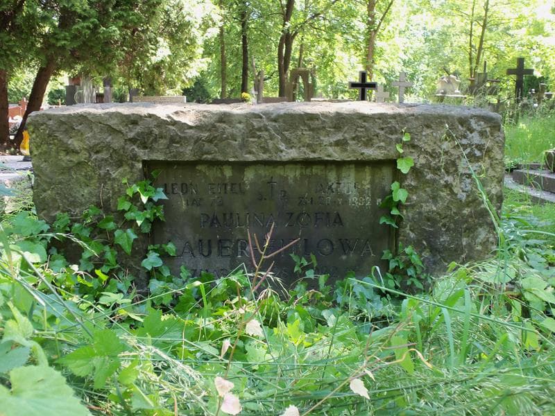Zdjęcie grobu Paulina Zofia Lauer-Eitlowa (2)