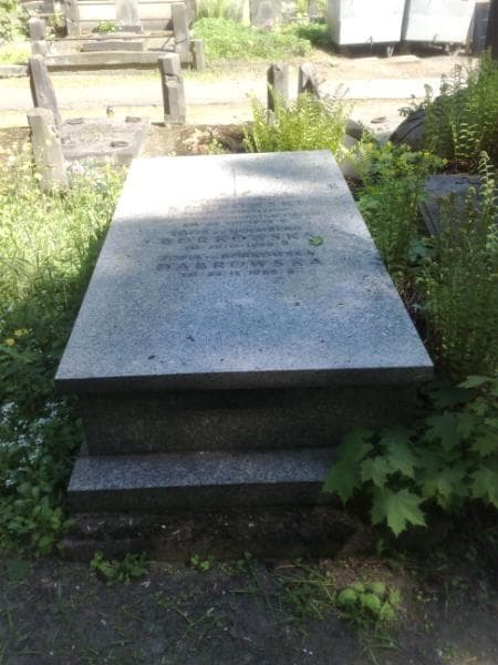 Zdjęcie grobu Adam Adamski (2)