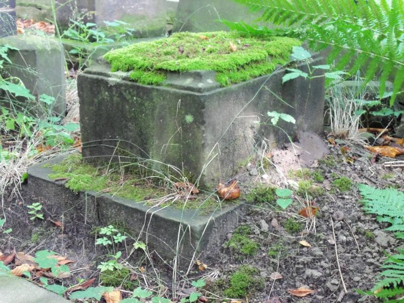 Zdjęcie grobu Aleksander Biliński (2)