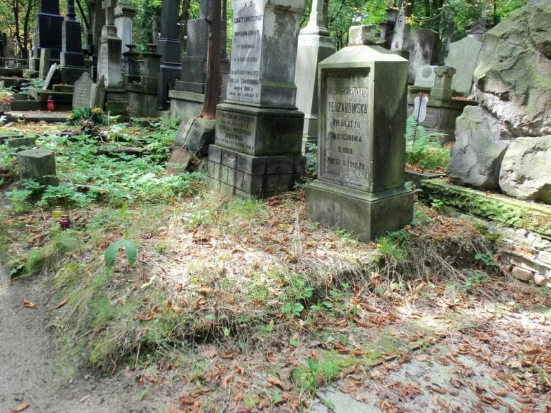 Zdjęcie grobu Emiljia Perzanowska (2)