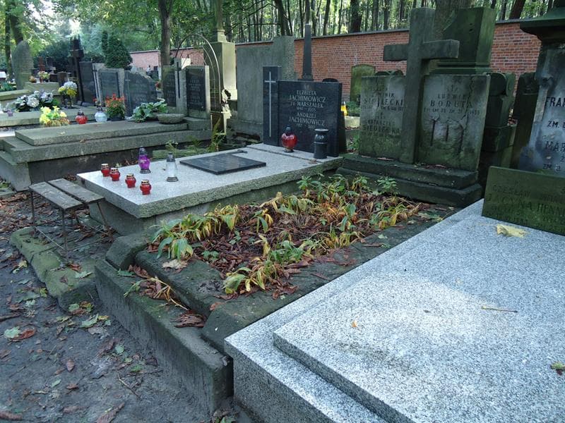 Zdjęcie grobu Ludwik Boruta (1)