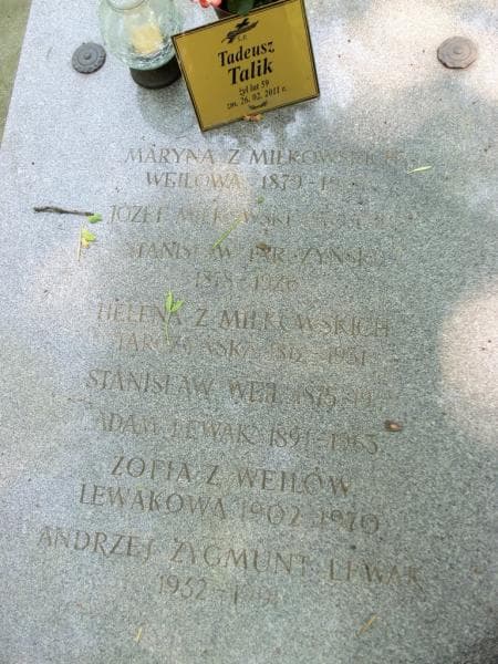 Zdjęcie grobu Zofia Lewakowa (2)