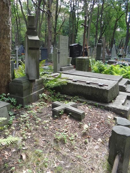 Zdjęcie grobu: Antonina Jaskólska