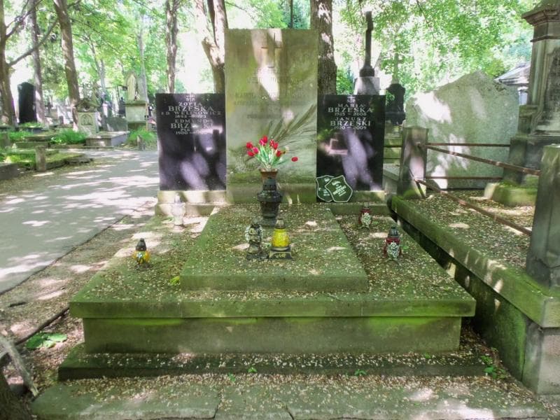 Zdjęcie grobu: Zofia Brzeska