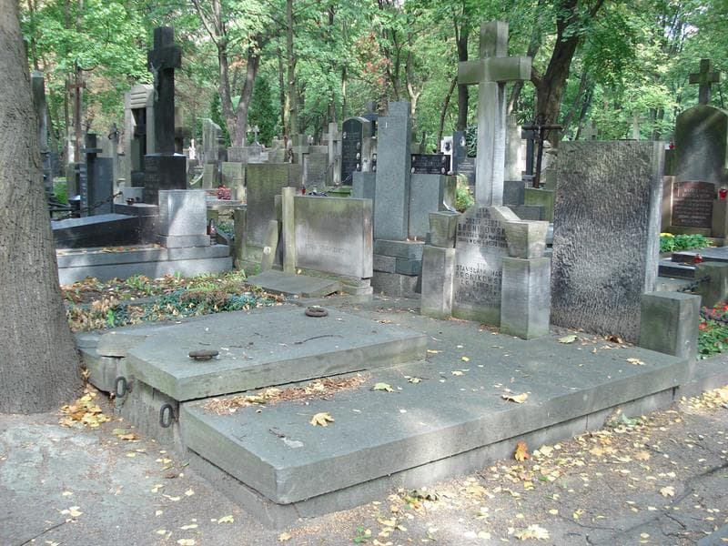 Zdjęcie grobu: Tadeusz Bronikowski