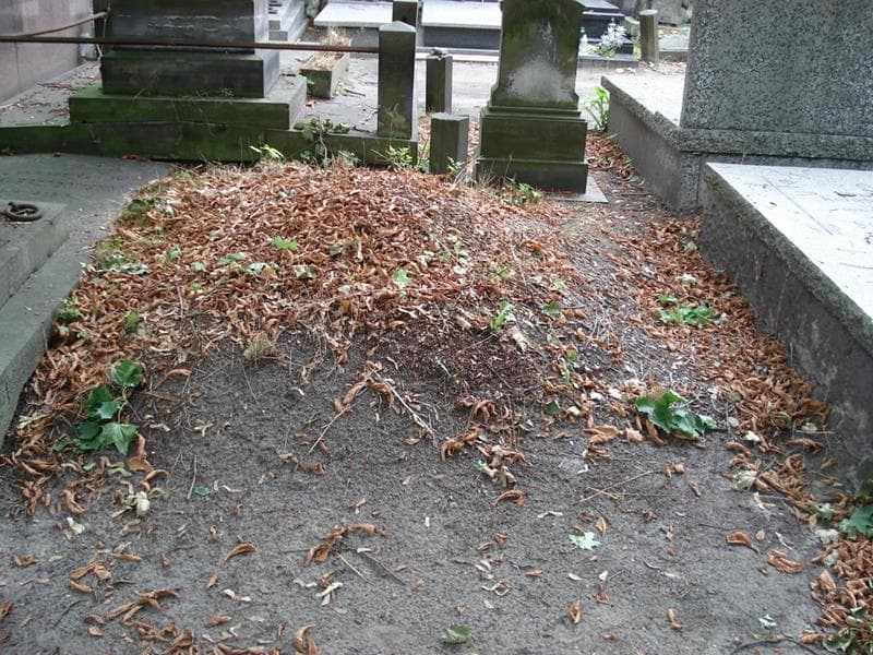 Zdjęcie grobu: Pole Grobowe