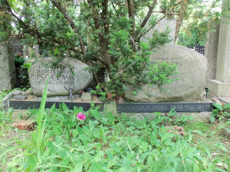 Zdjęcie grobu Samuel Józef Lipszyc (2)