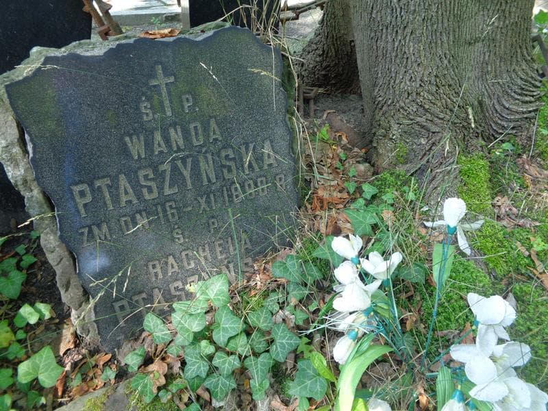 Zdjęcie grobu Rachela Ptaszyńska (2)