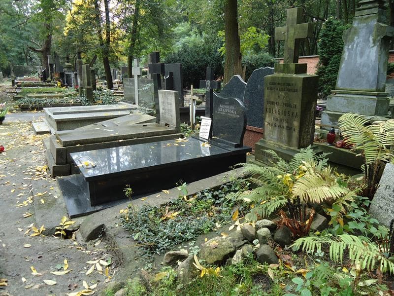Zdjęcie grobu Łucya Pawlak (1)