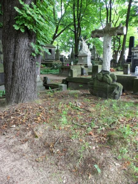 Zdjęcie grobu Józef Rościszewski (1)