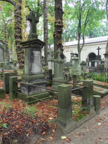 Zdjęcie grobu Adam Goltz (1)
