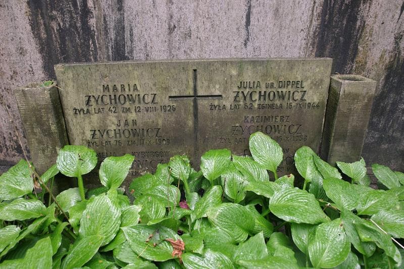 Zdjęcie grobu Jan Żychowicz (2)