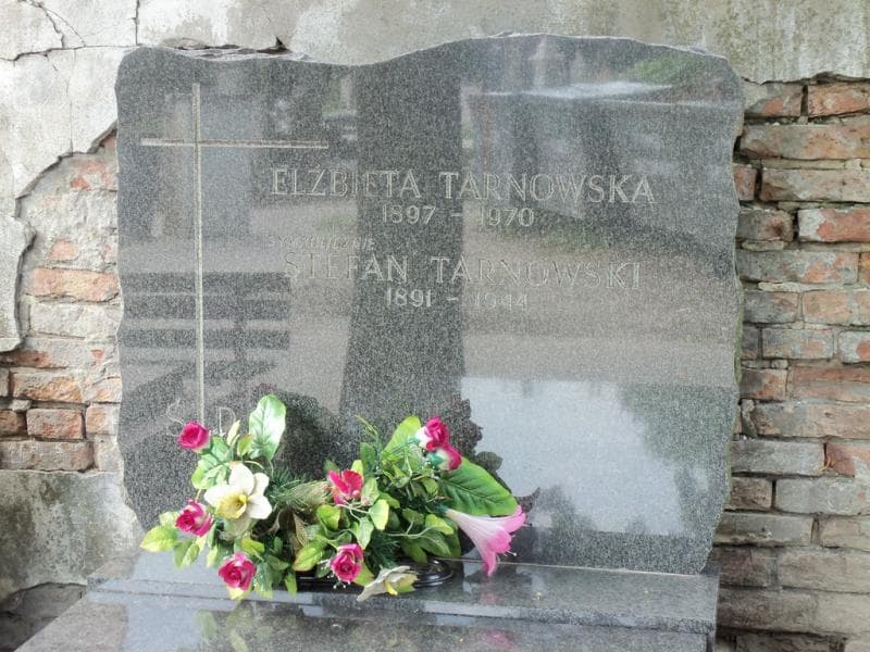 Zdjęcie grobu Stefan Tarnowski (2)