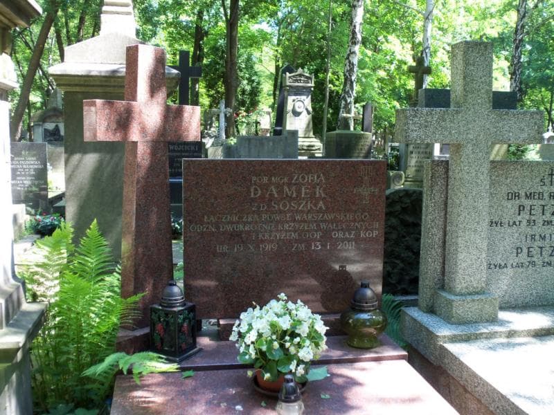 Zdjęcie grobu Zofia Damek (2)