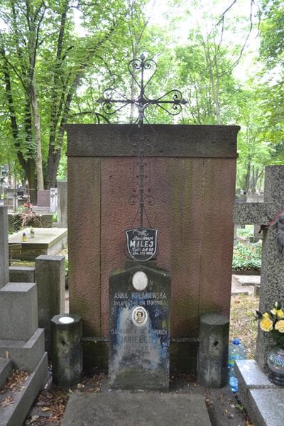 Zdjęcie grobu Anna Kołakowska (1)