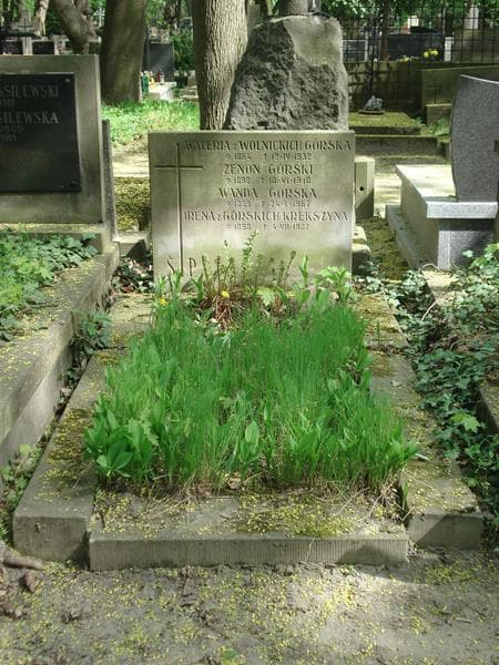 Zdjęcie grobu: Wanda Górska
