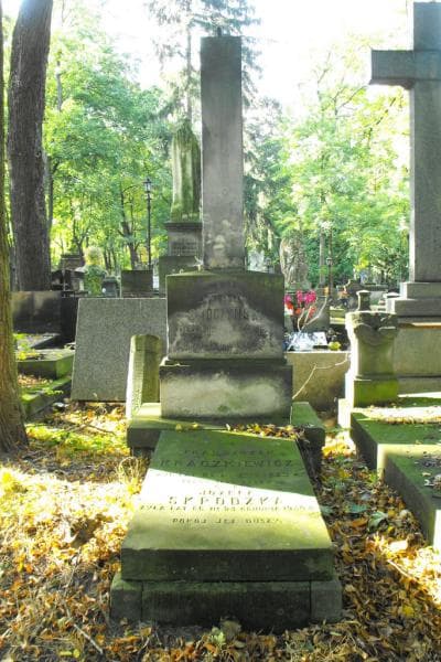 Zdjęcie grobu: Franciszek Kraczkiewicz