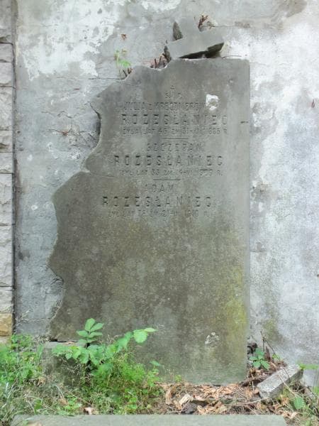 Zdjęcie grobu Julja Rozesłaniec (2)