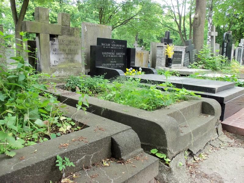 Zdjęcie grobu Krystyna Tracz (1)