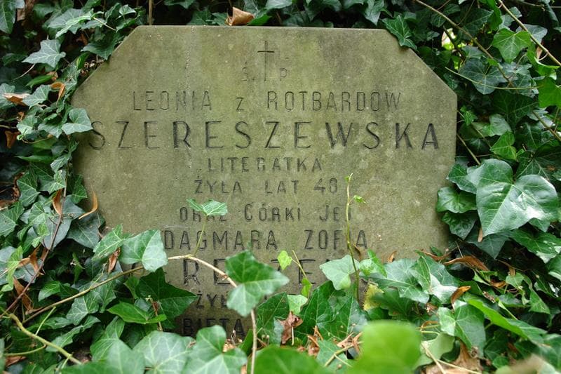 Zdjęcie grobu Elżbieta Mirosława Szereszewska (2)