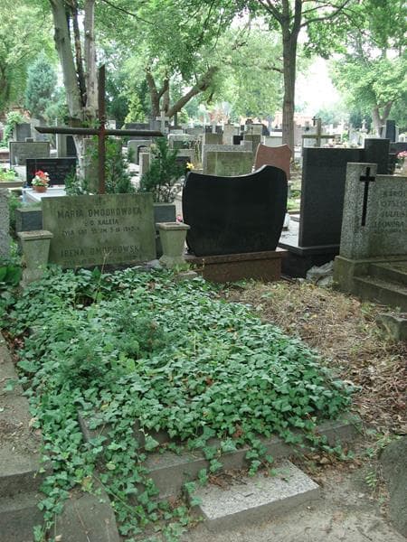 Zdjęcie grobu Maria Dmochowska (1)
