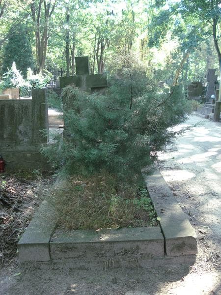 Zdjęcie grobu: Antonina Hutorowicz