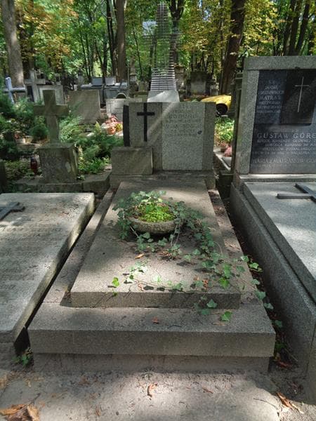 Zdjęcie grobu Franciszek Bogumił (1)