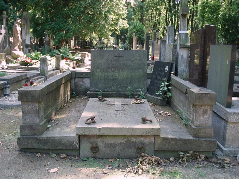 Zdjęcie grobu Wacław Patocki (1)