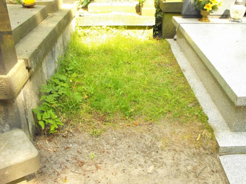 Zdjęcie grobu: Antoni Januszyński