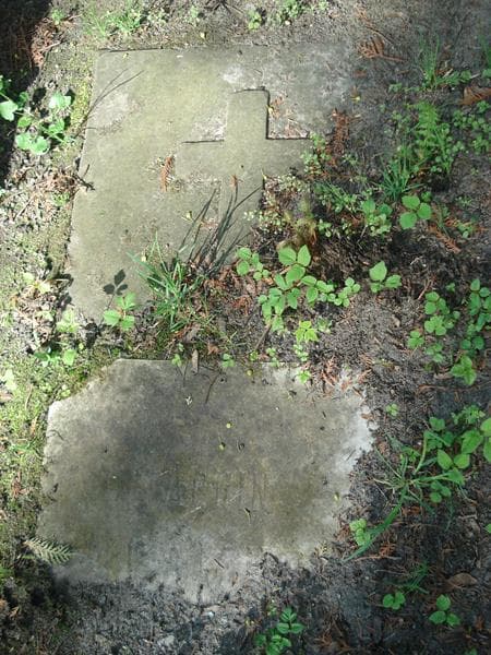 Zdjęcie grobu Albin Camus (1)