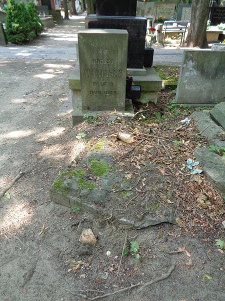 Zdjęcie grobu August Waniasek (1)