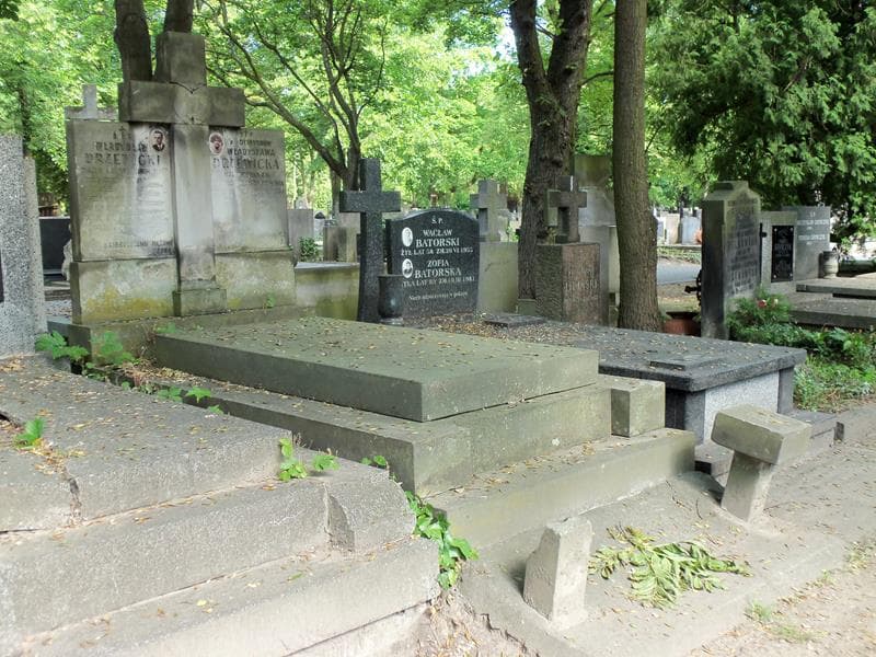 Zdjęcie grobu Władysław Drzewicki (1)