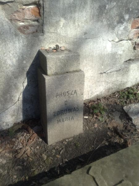 Zdjęcie grobu Jan Tokarski (2)