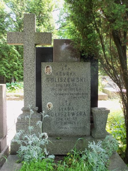Zdjęcie grobu Henryk Goliszewski (2)
