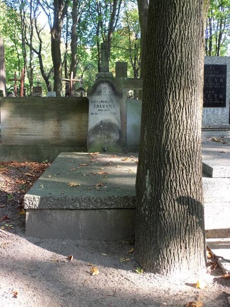 Zdjęcie grobu: Maria Załuska
