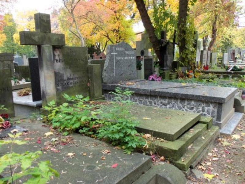 Zdjęcie grobu Wacław Szlachciński (1)